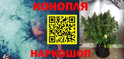 МДПВ Гусев
