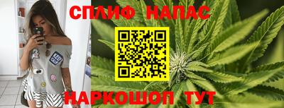 МДПВ Гусев